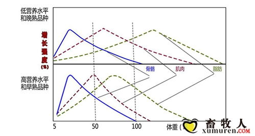 飼料ODM與物聯網技術的融合研發與實踐應用研究
